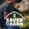 Saved By The Barn