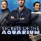 Secrets of the Aquarium