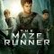 The Maze Runner