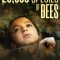 20,000 Species of Bees | 20.000 especies de abejas