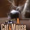 A Cat and Mouse Game