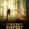 A Flash of Beauty: Bigfoot Revealed