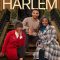 A Holiday in Harlem