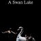 A Swan Lake