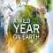 A Wild Year On Earth