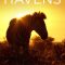 Africa’s Wild Havens