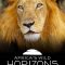 Africa’s Wild Horizons