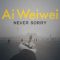 Ai Weiwei: Never Sorry