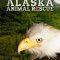 Alaska Animal Rescue