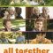 All Together | Et si on vivait tous ensemble ?