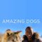 Amazing Dogs