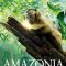 Amazonia