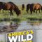 America’s Wild Seasons