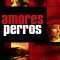 Amores Perros | Amores perros