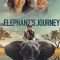 An Elephant’s Journey | Phoenix Wilder and the Great Elephant Adventure