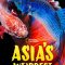 Asia’s Weirdest