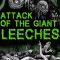 Attack of the Giant Leeches