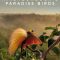 Attenborough’s Paradise Birds