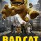 Bad Cat | Kötü Kedi Şerafettin