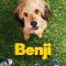 Benji