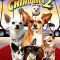 Beverly Hills Chihuahua 2