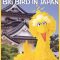 Big Bird in Japan