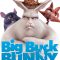 Big Buck Bunny