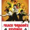 Black Dragon’s Revenge | 龍爭虎鬥精武魂 / The Black Dragon’s Revenge