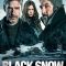 Black Snow | Nieve negra