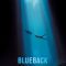 Blueback