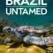 Brazil Untamed | Brasil Selvagem