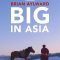 Brian Aylward: Big in Asia