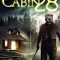 Cabin 28