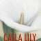 Calla Lily