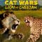 Cat Wars: Lion vs. Cheetah