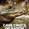 Cave Crocs of Gabon