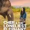 Cher & the Loneliest Elephant