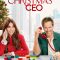 Christmas CEO