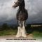 Clydesdale: Saving the Greatest Horse