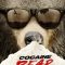 Cocaine Bear: The True Story