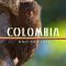 Colombia – Wild and Free