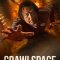 Crawlspace