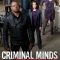 Criminal Minds: Suspect Behavior