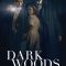 Dark Woods | Das Geheimnis des Totenwaldes