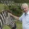 David Attenborough’s Natural Curiosities