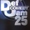 Def Comedy Jam 25