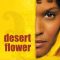 Desert Flower