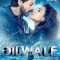 Dilwale | दिलवाले