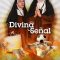 Divine Intervention | Divina Señal