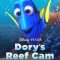 Dory’s Reef Cam